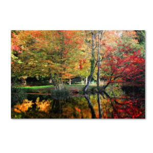 Photography Wall Art photography - wall art | wayfair Photography Wall Art photography - wall art | wayfair