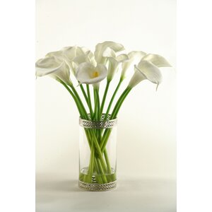 Calla Lilies in Glass Cylinder Vase