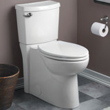 Water Ridge Toilet Wayfair