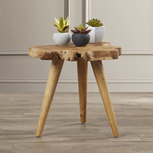 Pakwa Fort Meade End Table by Loon Peak