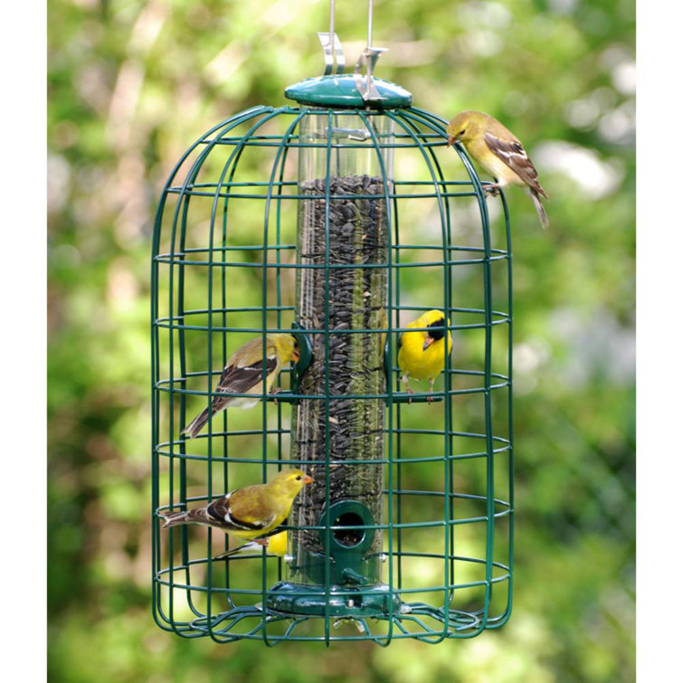 cage bird feeder