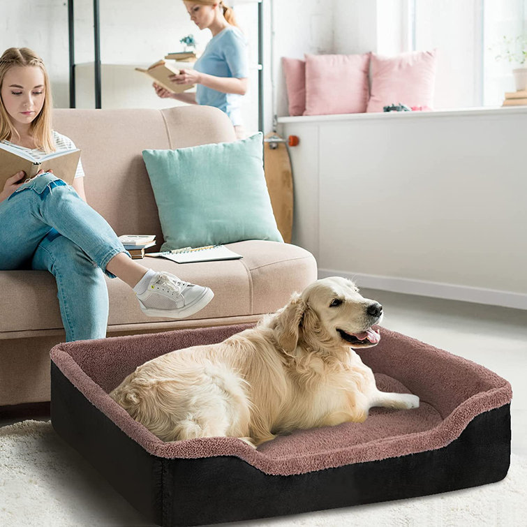 dog bed with zipper