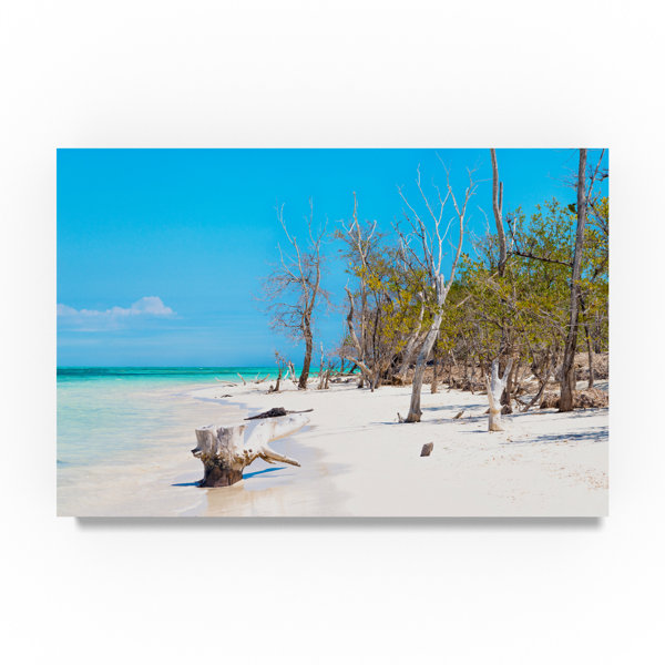 Trademark Art White Sand Beach Graphic Art Print On Wrapped