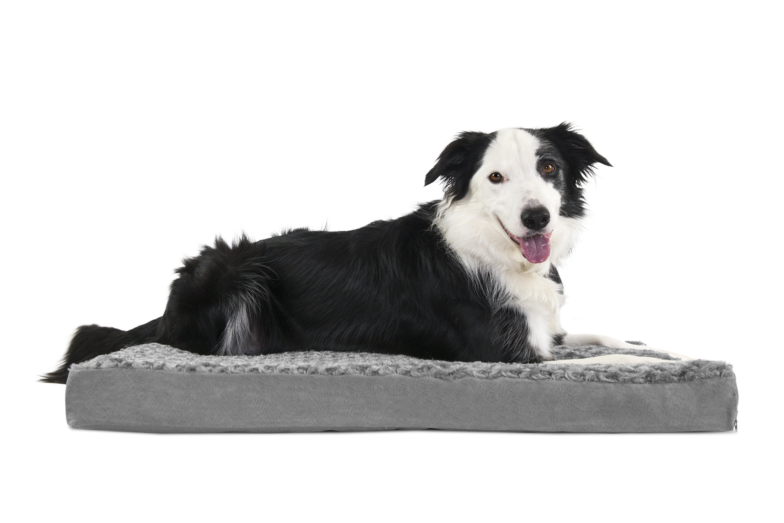 Archie Oscar Ernie Ultra Plush Deluxe Memory Foam Dog Mat Pillow