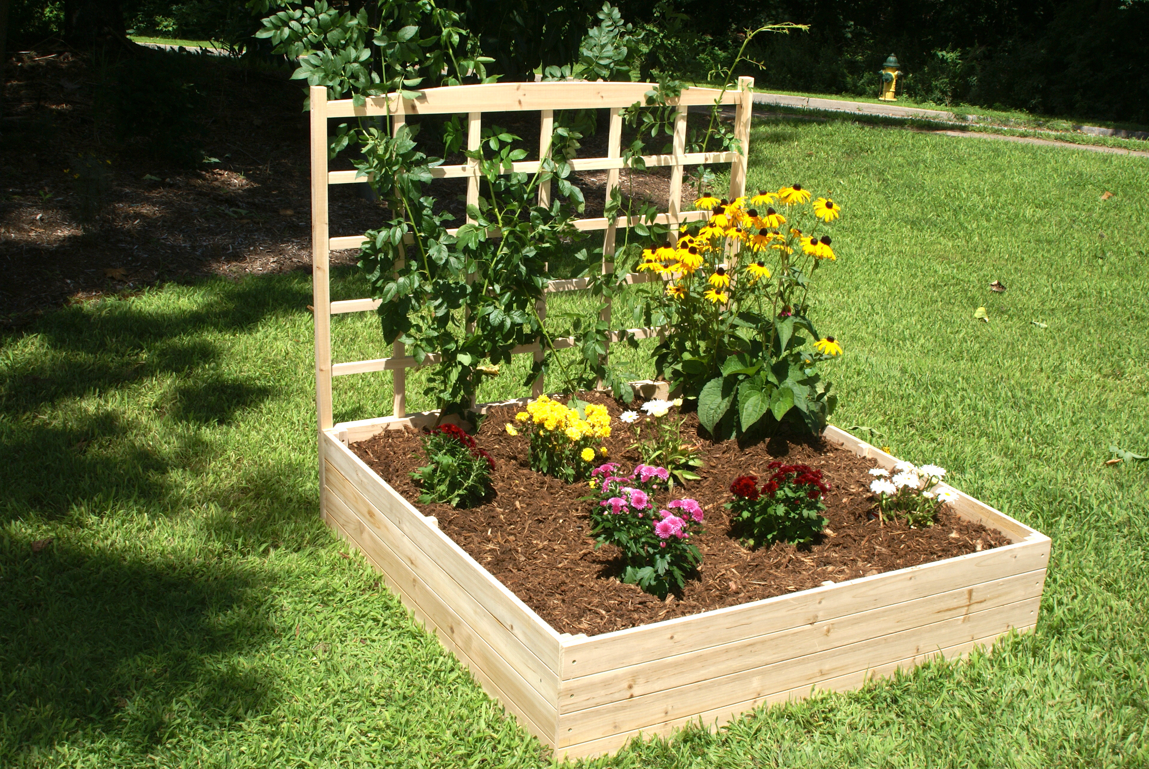 August Grove® Konkol 4 ft x 4 ft Wood Raised Garden with Garden Grill Designs in 2020 | Garden trellis designs, Diy