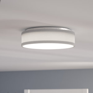 Benning 1-Light Flush Mount