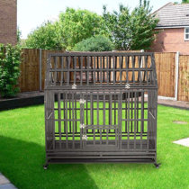 used dog fences