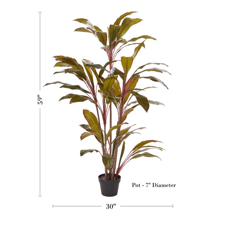 26 Cordyline Silk Plant Pack of 12 Green/Pink 