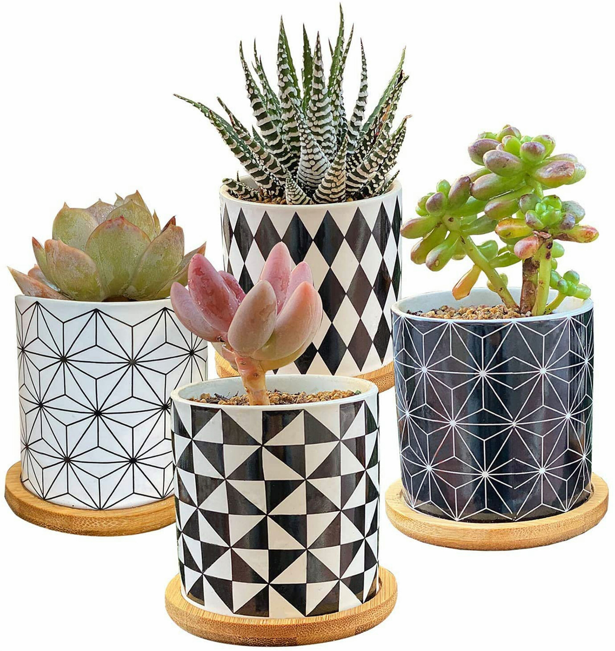 Succulent Plants Pots,Planter Pots Geometry Pots For Plants Flower Pots