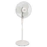 Decorative Pedestal Fans Wayfair