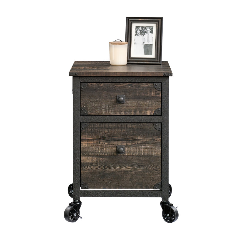 Williston Forge Rushton 2 Drawer Mobile Vertical Filing Cabinet Reviews Wayfair