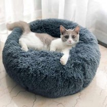 large cat bed with roof