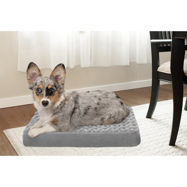 cooling pillow for dogs