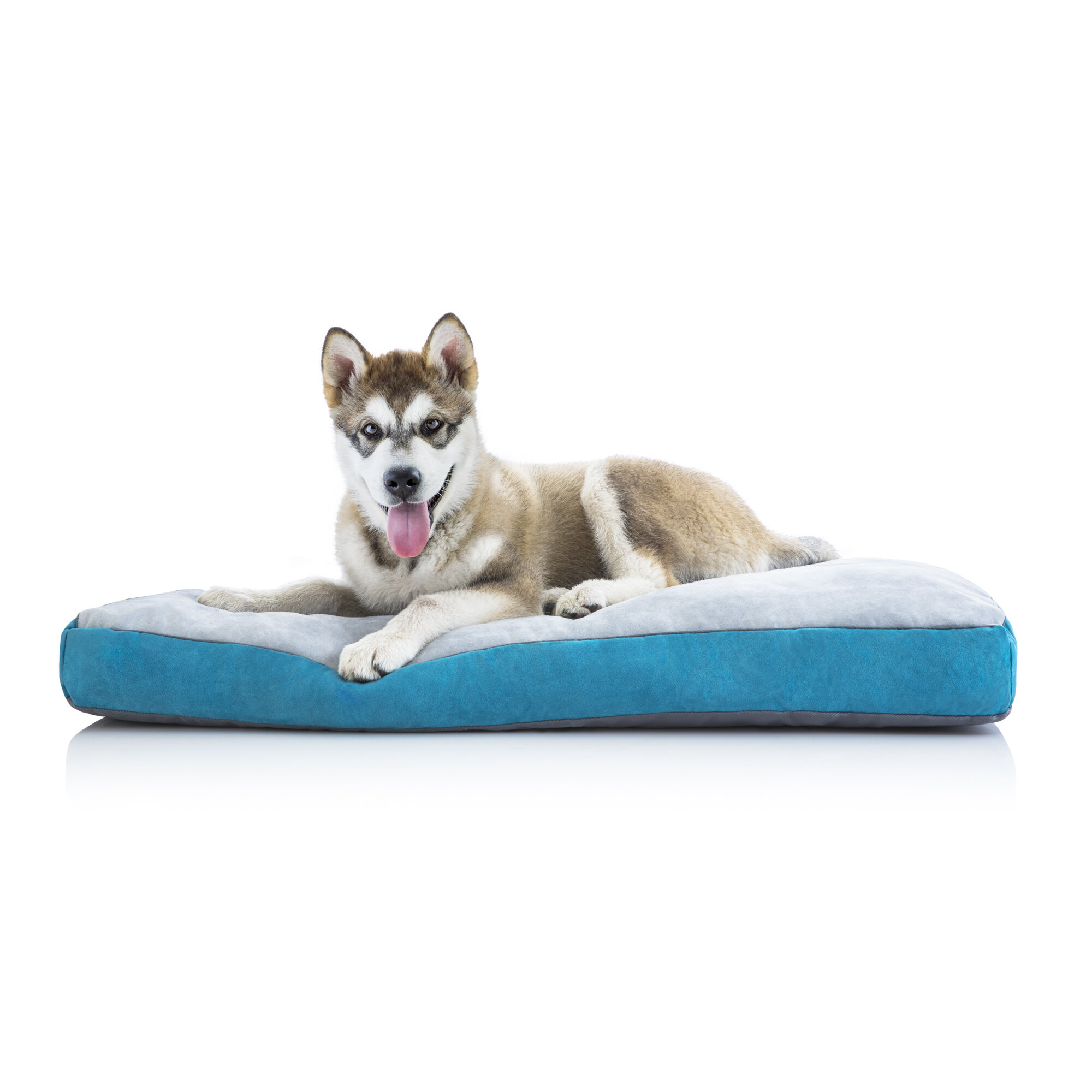 large pet mat