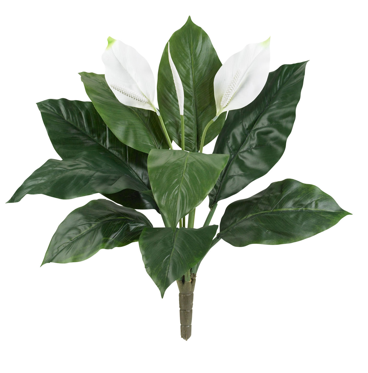 Charlton Home® 24'' Artificial Foliage Plant Wayfair
