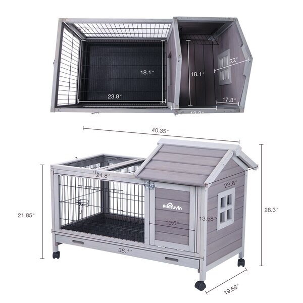 Tucker Murphy™ Pet Robinette Small Animal Hutch with Feeder, Ramp and ...