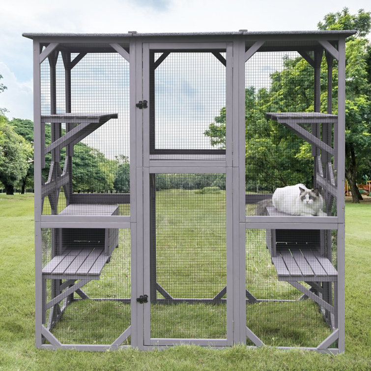 metal catio