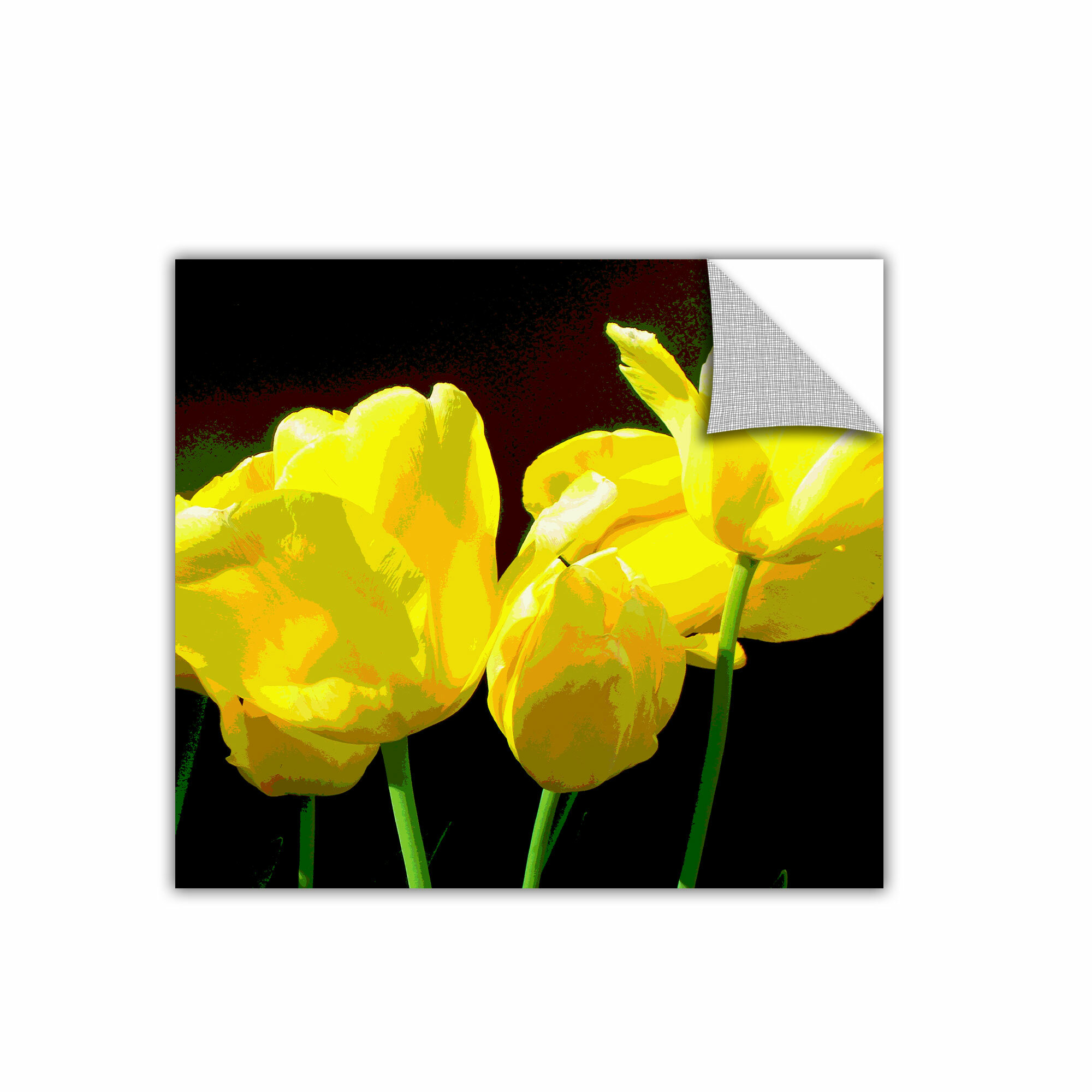 ArtWall Herb Dickinson Yellow Tulips 2 Removable Graphic Wall Art 24 by 24-Inch 