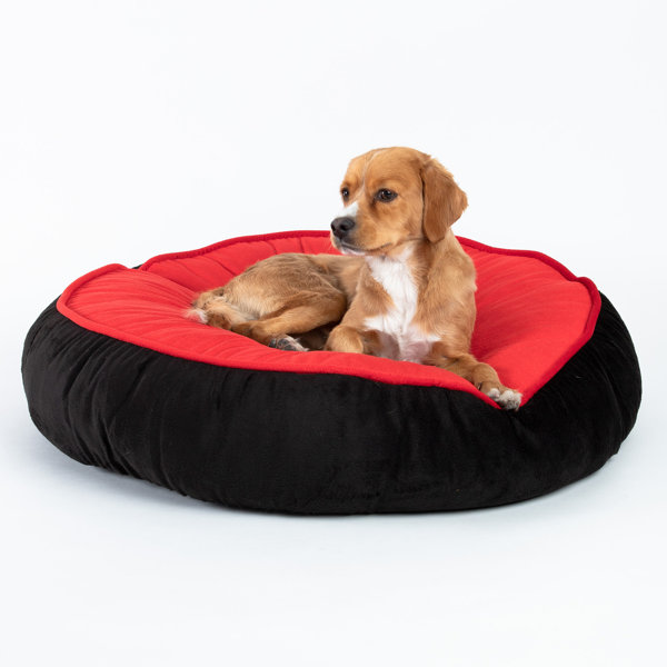 mickey dog bed