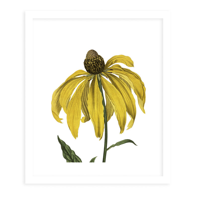 Charlton Home Flower Nineteen White By Terri Ellis Picture Frame Graphic Art Print On Paper Wayfair