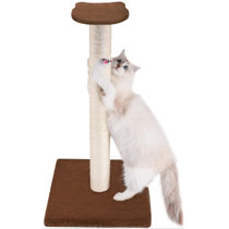 wayfair cat scratchers
