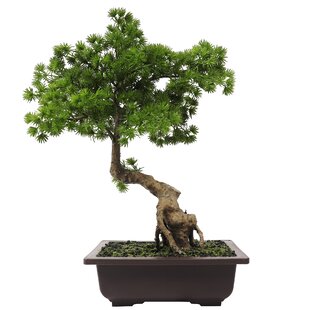 Details about   Artificial Plant Decorative Pine Plastic Artificial Bonsai for Home Decor Charm