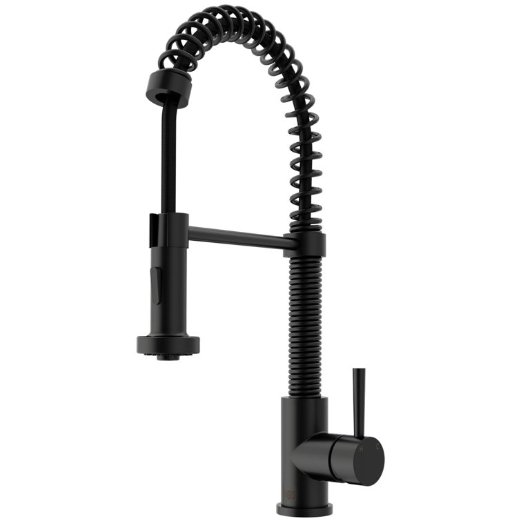 Edison Pull Down Single Handle Kitchen Faucet with Optional ...