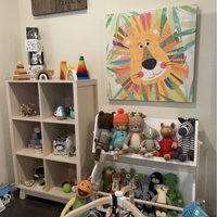 hudson cubby bookcase