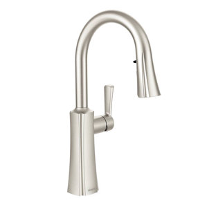Moen Etch Single Handle Kitchen Faucet