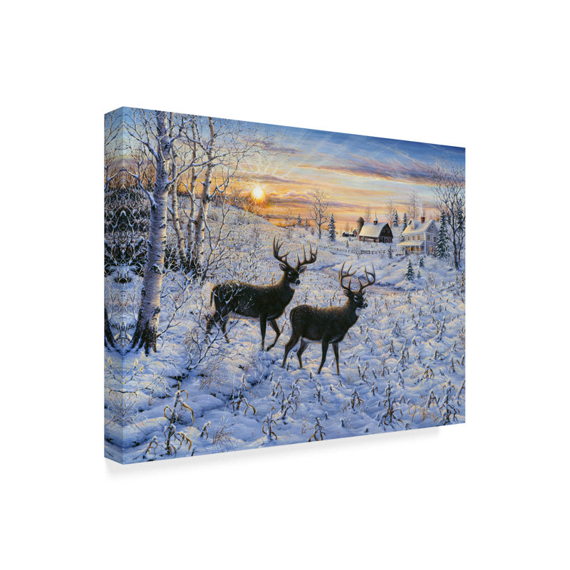 Trademark Art Two Deer In The Moonlight Graphic Art Print On Wrapped Canvas Wayfair