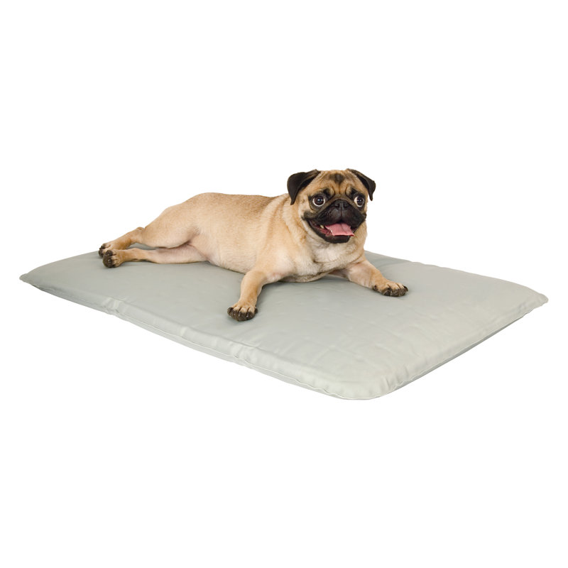vinyl dog mat