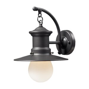 Vuelta 1-Light Outdoor Barn Light