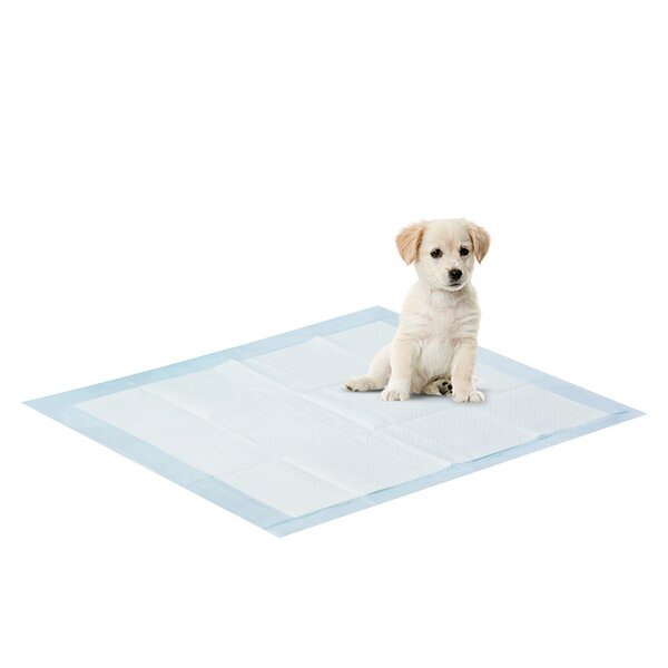 dog training pad