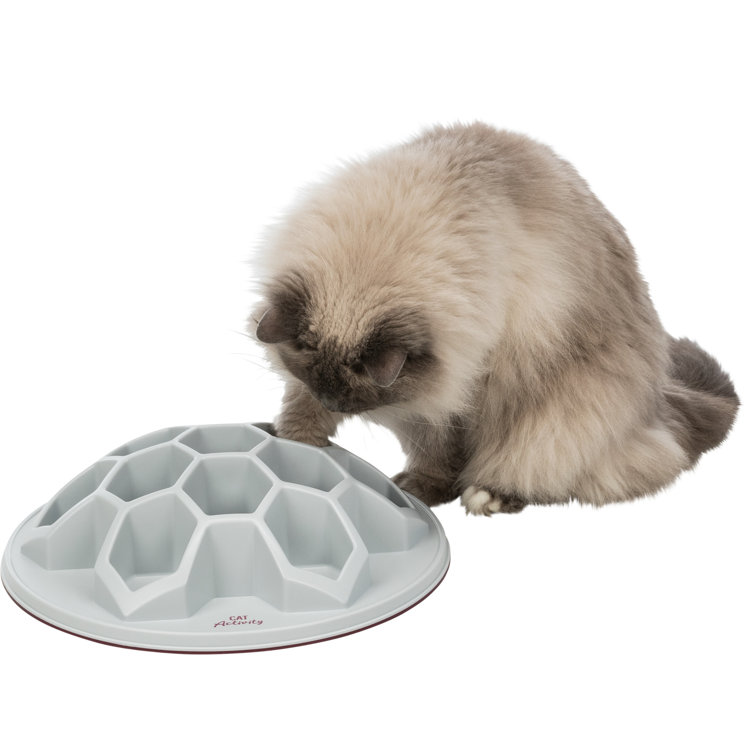 cat activity feeder
