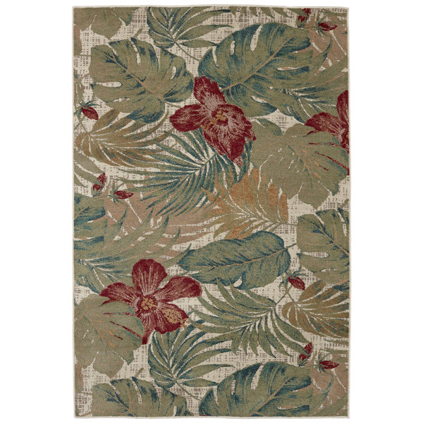 Teal And Coral Rug Wayfair