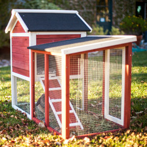 The Stilt House Rabbit Hutch