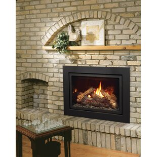 Find The Perfect Direct Vent Gas Fireplace Inserts Logs Wayfair