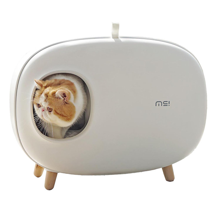 cute litter box