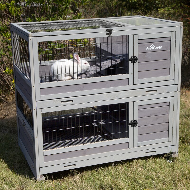 Aivituvin Weather Resistant Rabbit Hutch with Ramp | Wayfair