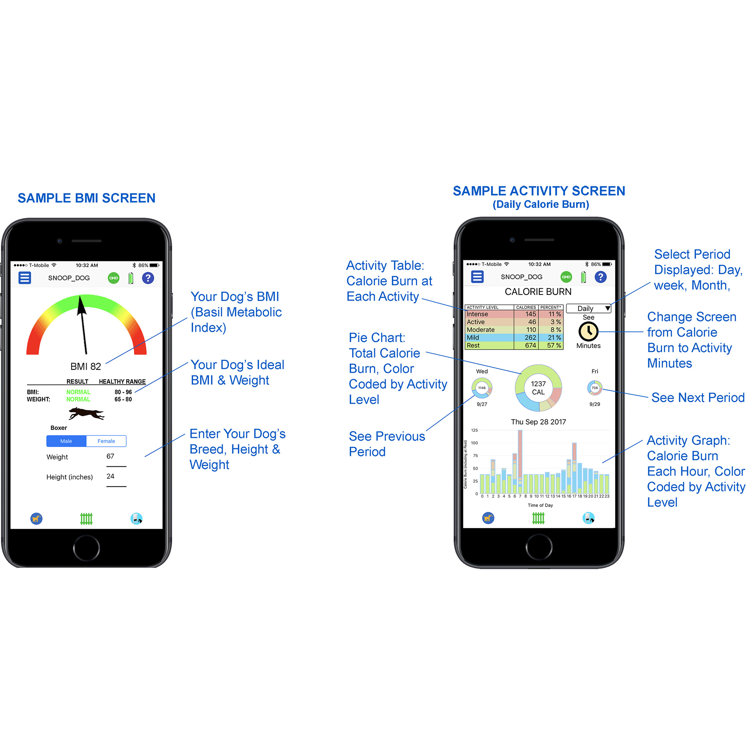 smartphone dog training collar