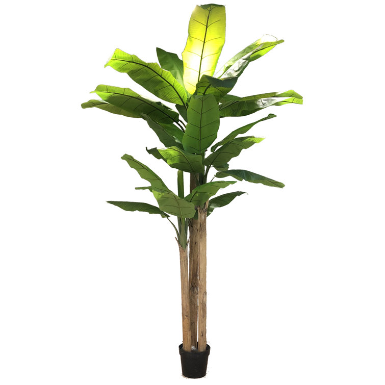 The Seasonal Aisle 250Cm Banana Leaf Tree in Pot | Wayfair.co.uk