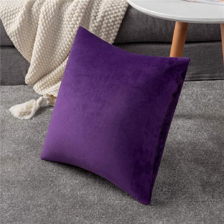 Velvet Cushion Cover Plum Decorative Pillowcases 2 Pack for Sofa Bed and Couch
