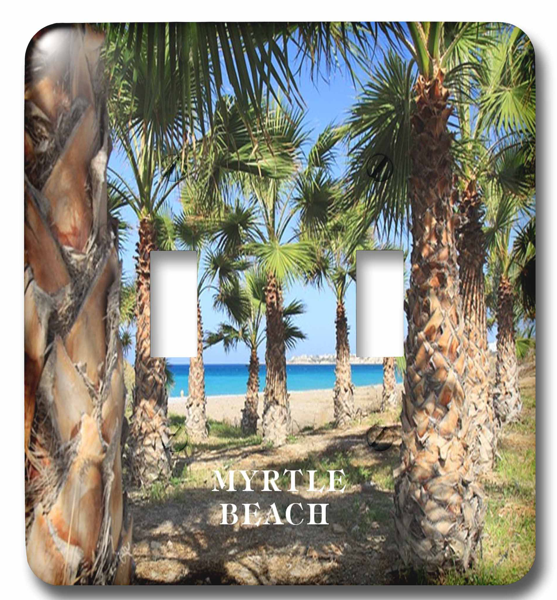 3drose Palms Line Myrtle Beach South Carolina 2 Gang Toggle Light Switch Wall Plate Wayfair