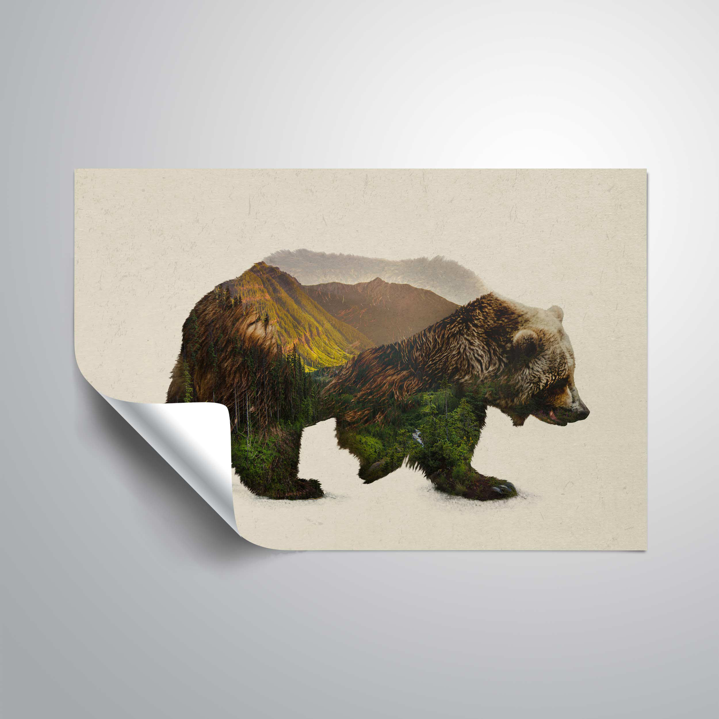 Artwall North American Brown Bea Removable Wall Decal Wayfair