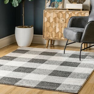 Wayfair | Plaid Area Rugs You'll Love in 2021