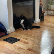 Real Flame Emerson 55.875'' W Electric 