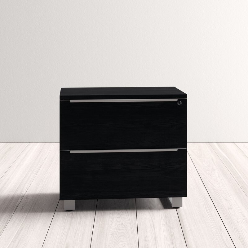 Ose 2 Drawer Lateral Filing Cabinet Reviews Allmodern