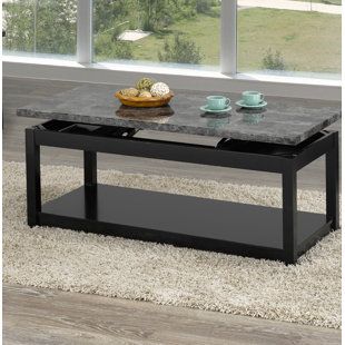 Champagne Lift Top Coffee Table by Darby Home Co