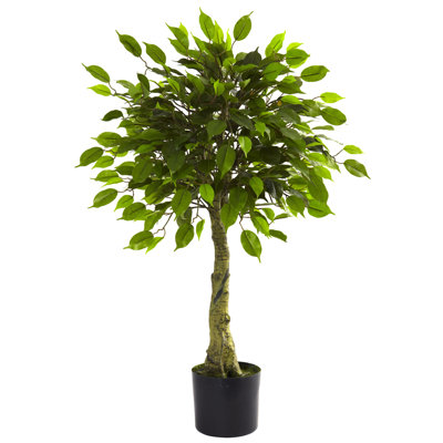 Alcott Hill Faux Ficus Tree