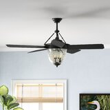 Enclosed Ceiling Fan Wayfair